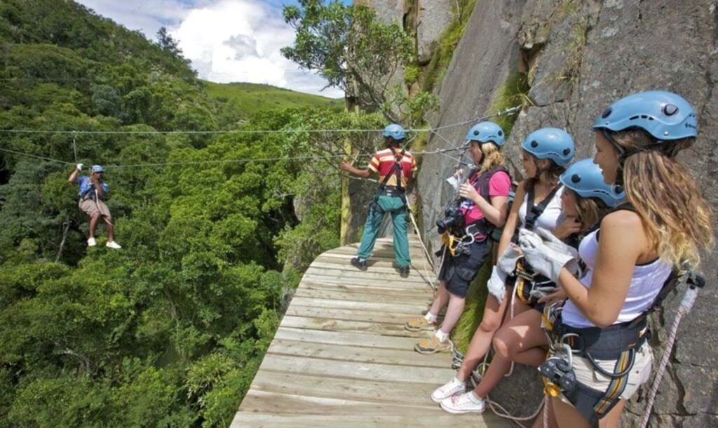 Canopy Tours in Cape Town
