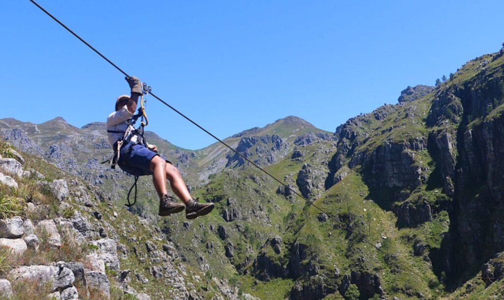 Cape Canopy Tours