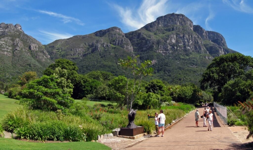 Kirstenbosch National Botanical Garden