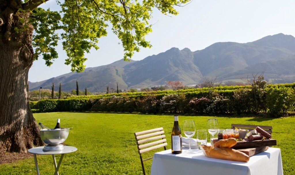 Things To Do In Cape Town