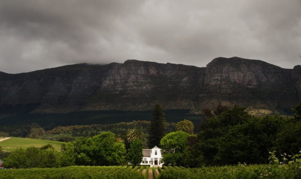 Groot Constantia