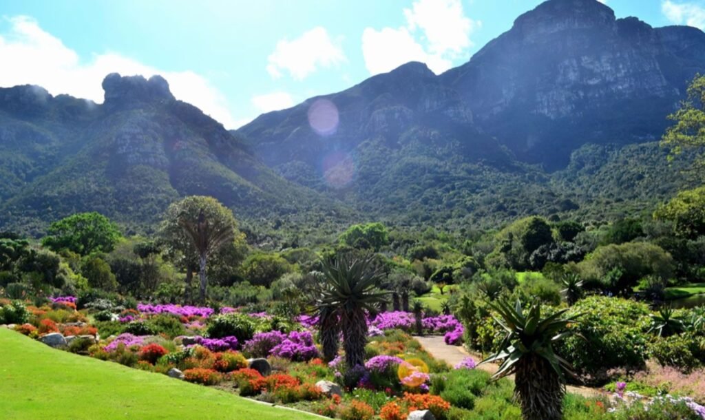 Kirstenbosch National Botanical Garden