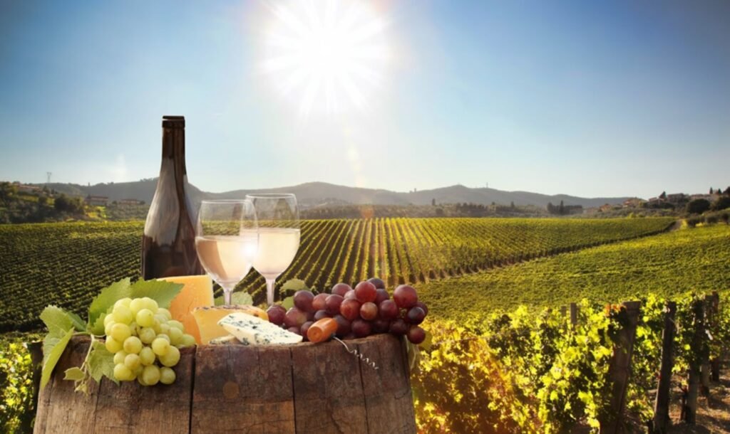 Stellenbosch Wine Tasting Tour
