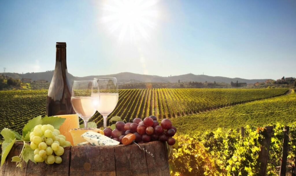 Wine Tasting Tour