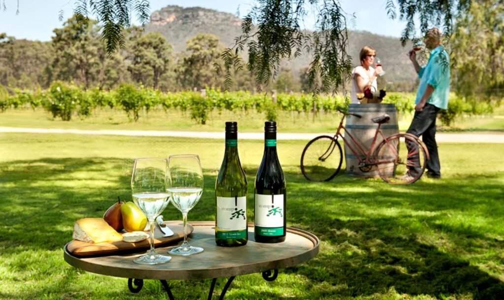 Wineries of Stellenbosch 