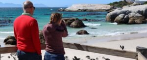 The Best 7 Cape Town Tours Activities In The Cape Peninsula