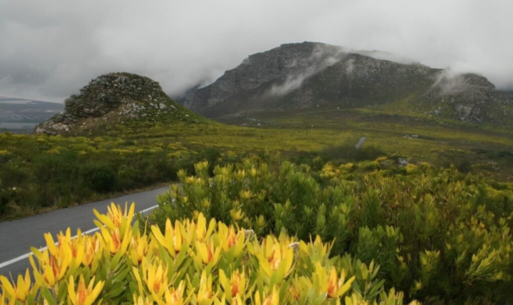 Table Mountain National Park