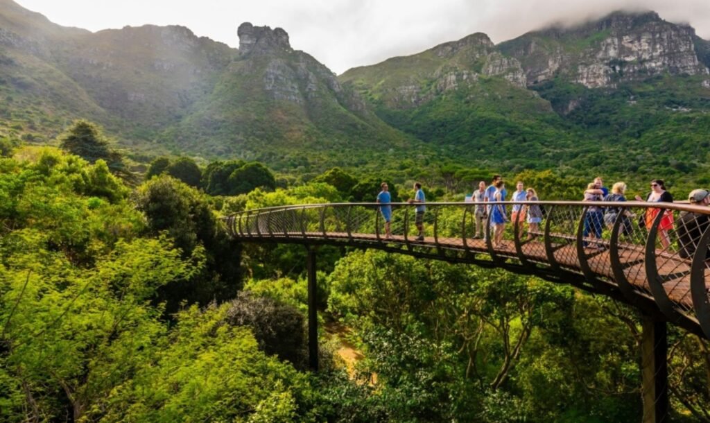 Cape Town Attractions