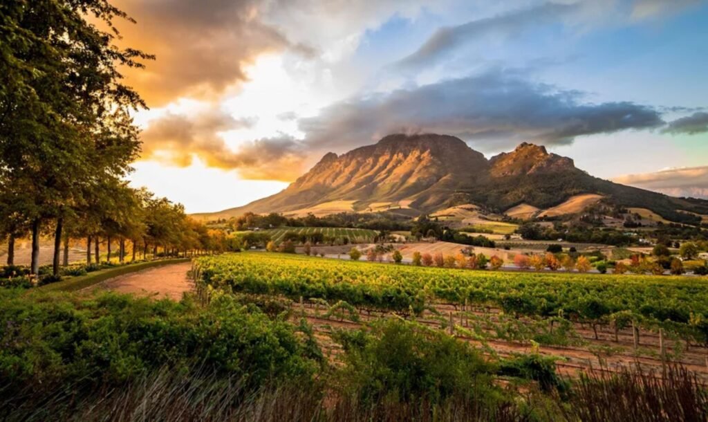 Cape Town Tours