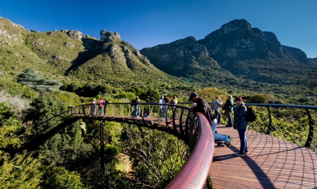 Cape Town Activities