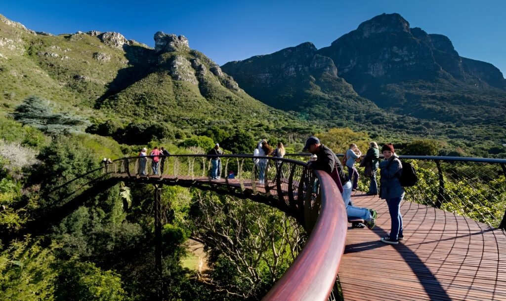Cape Town City Tours
