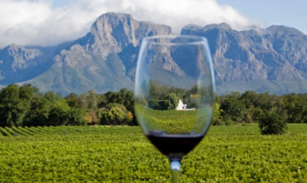 Cape Winelands Tours
