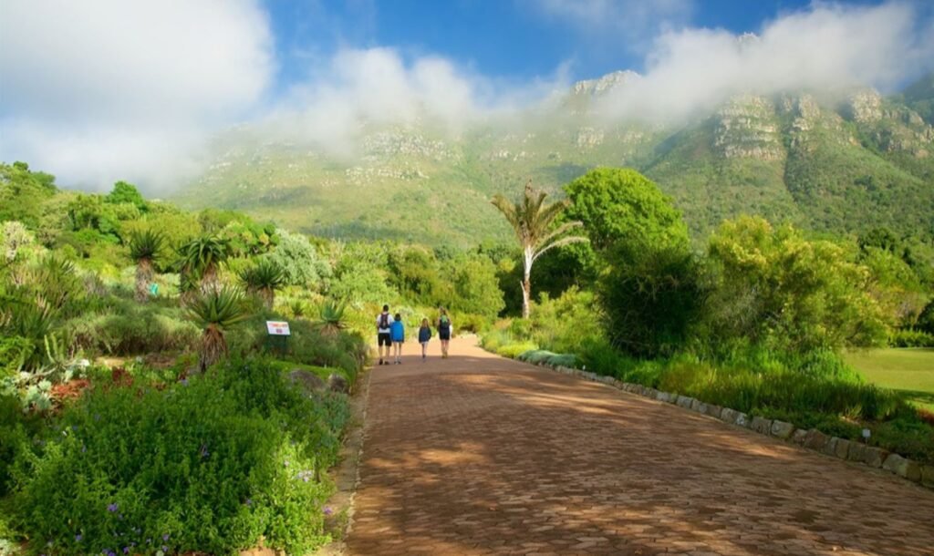 Kirstenbosch Botanical Gardens Tours