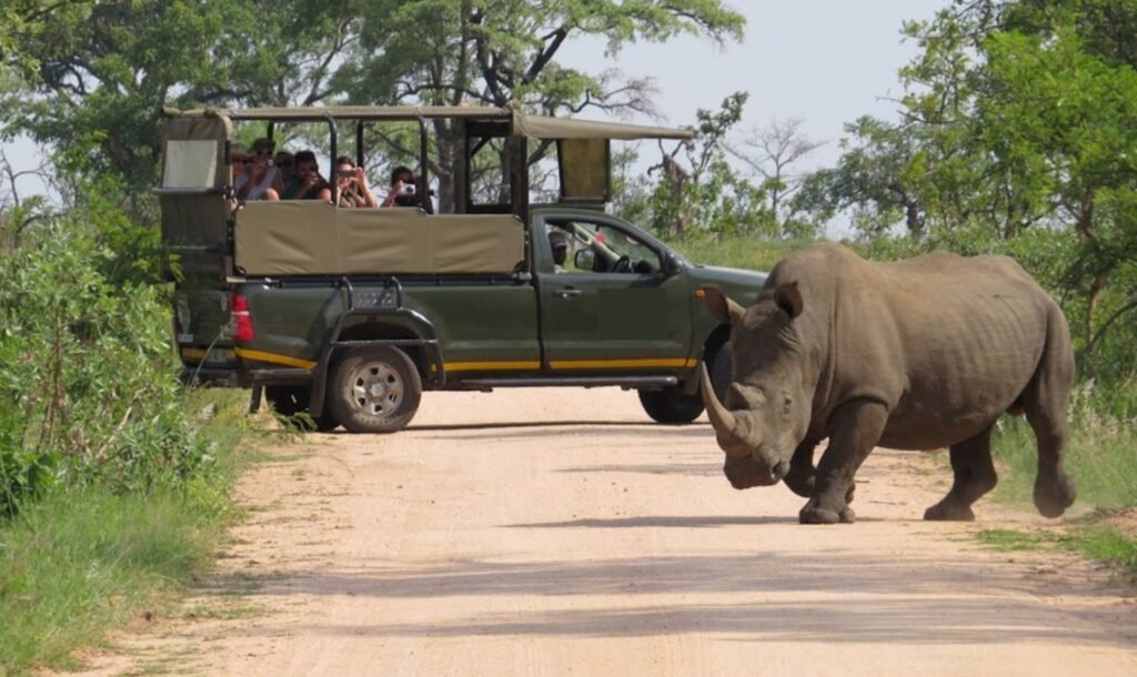 Self-Drive or Guided Tour