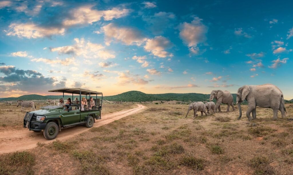 South Africa Tours