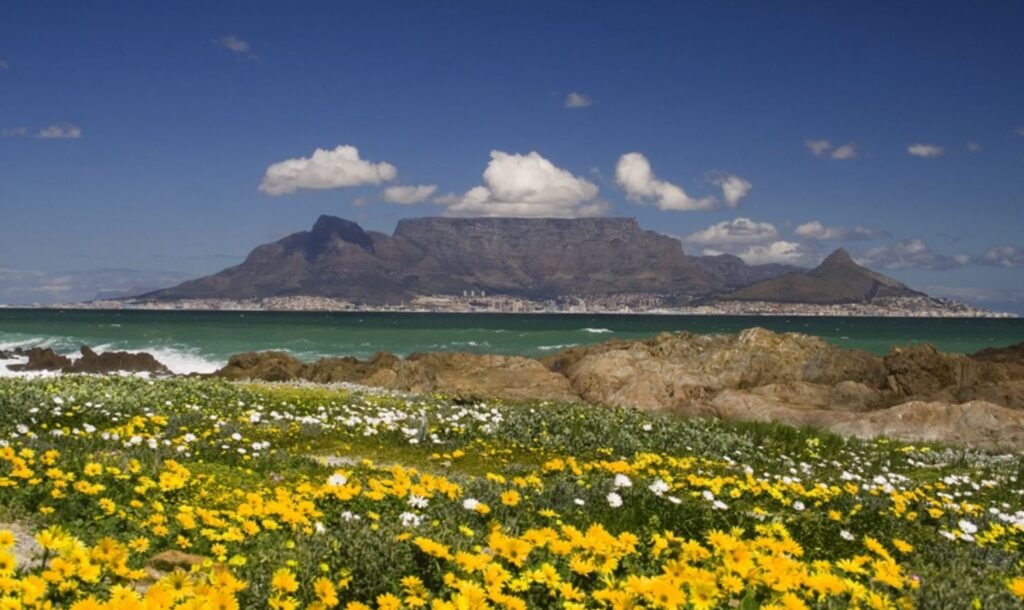 Table Mountain