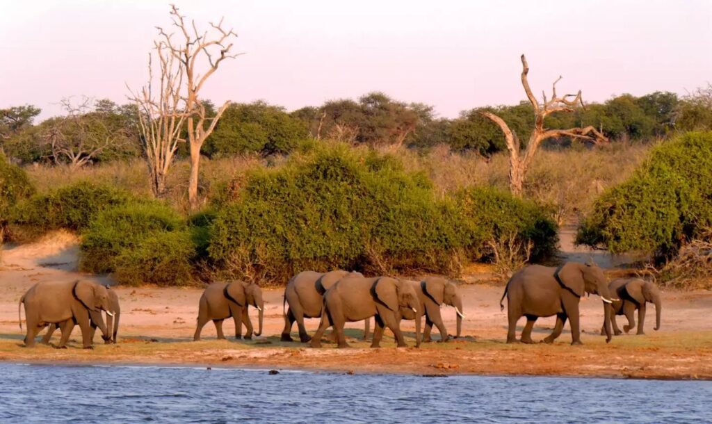 Things to Do in Jwaneng