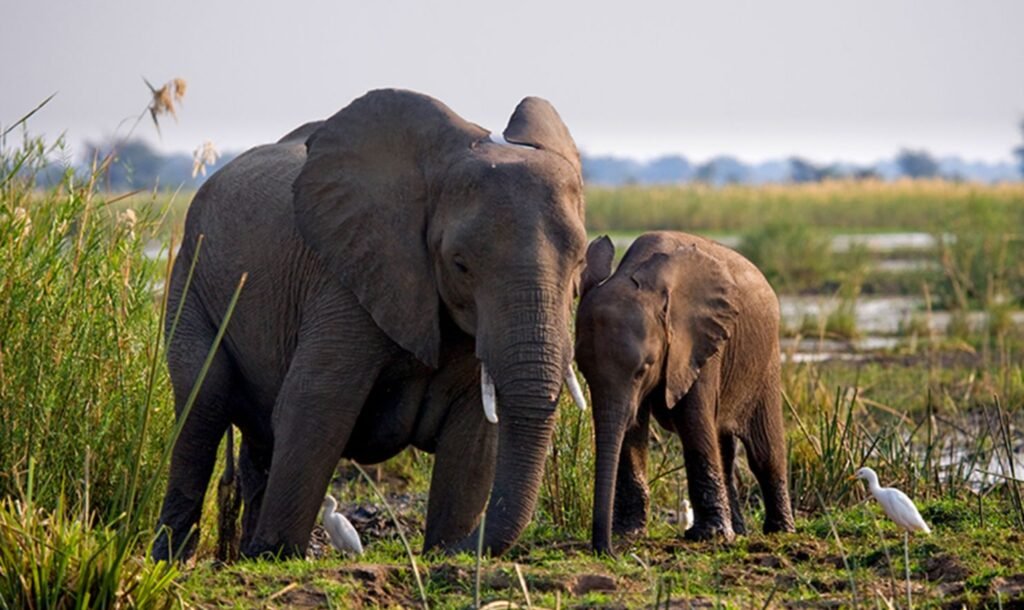 Victoria Falls National Park